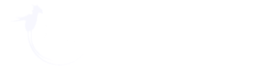 Soleno_Studio_Logo_ENG_White